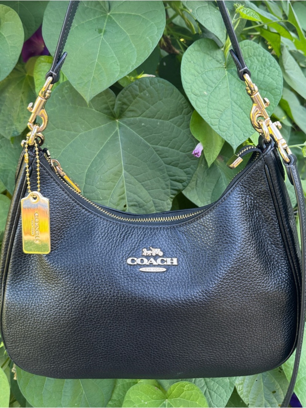 Coach Teri Hobo Black Pebbled Leather Shoulder bag with Gold Hardware & Hangtag